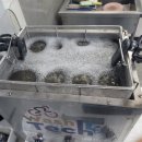 제일정비공장 | 25-26 자전거 분해 정비(오버홀) 행사 LOOK 987 MTB