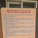 비슬산 숲속 오토캠핑장 | 비슬산숲속오토캠핑장 대구근교 빗소리 실컷 들었다