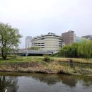 탄천 죽전삼거리 이미지