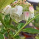 잘크는농장 이미지