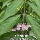 오늘의짐 이미지
