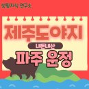 제주도야지 파주운정점 이미지