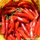 드림농장 이미지