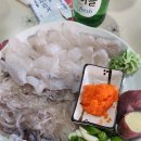 싱싱산오징어 내돈내산 후기 대구 평리동 맛집