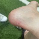 [수원테니스레슨] 퍼시픽테니스장에서 내돈내산 레슨 및 연습 후기