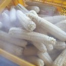 두천농장 이미지