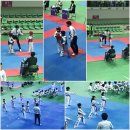 용인대 스마일 태권도 이미지