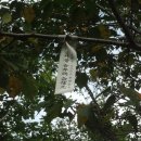 공근면사무소 이미지