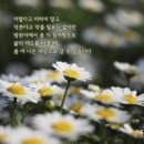 극단사람들 이미지