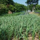 희진농장 이미지