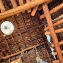 성동가가 이미지