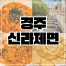 다운칼국수 | 경주 황리단길 맛집 칼국수 신라제면 주차 웨이팅 내돈내산 찐 후기