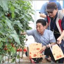 도농농장 이미지