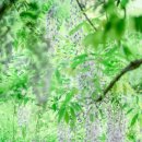 오창초 가좌분교 이미지