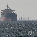 가봉 유조선 호르무즈 해협 통과⋯이란 "관리 수준 격상" 이미지