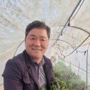 다모아영농조합법인 이미지