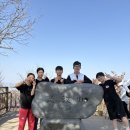 경희대국가대표태권도장 이미지