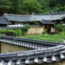 담장 Daum카페