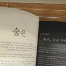 대전우리동물의료센터 | 대전동물병원 숲 동물의료센터 방문, 차분한 진료 후기