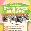 논산시 동물보호센터 이미지