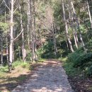 국망봉자연휴양림 이미지