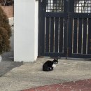 신돼지국밥 이미지