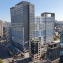 청년동물약국 이미지