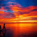 아름다운세상 이미지