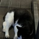 와우A오션뷰&수영장펜션 이미지