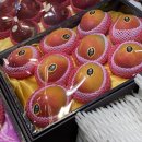 풍천상회 이미지