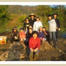 20121028 고구마/토란 수확, 양파 이랑 만들기, 비닐 등 환경정비 이미지