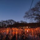 가야 고분군의 세계문화유산적 가치 이미지