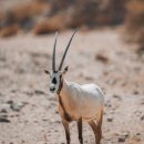 신화행정사사무소 이미지