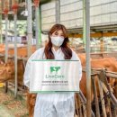 김종화농장 이미지