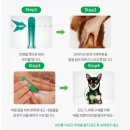 안중온누리약국 이미지