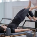 테드짐 산호점 이미지