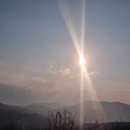 초심이네 이미지