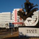 서부시장상점가(서부시장 통합) 네이버블로그