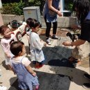 와우 동물농장 이미지