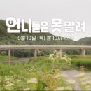 전진상약국 이미지