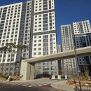 대성크리닝 | 에코델타 대성베르힐 입주 전 줄눈 시공 후기｜부산 강서구 베테랑 업체