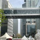 메디칼이송단 | 롯데타워 수직 마라톤 의료지원 후기