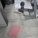 킹콩놀이터 | 롯백 상인점 문화센터 리틀킹콩 열한번째 수업 후기(꽃Day)