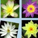 담수농장 이미지