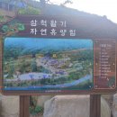 삼척활기자연휴양림 이미지