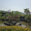 태화강국가정원 이미지