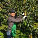 만영농장 이미지