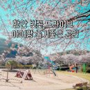 입곡군립공원 아라힐링카페 | 함안 아이랑 가볼만한곳 🌸 입곡군립공원 벚꽃 드라이브 + 입곡문화공원 놀이터·체험