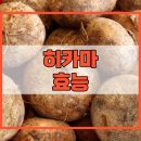 히카마 효능 이미지