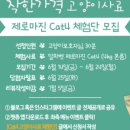 선유야시장